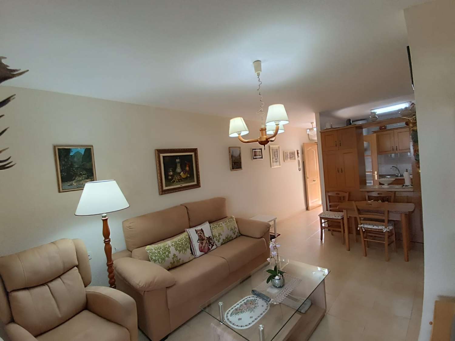 Penthouse mit Pool in Torrevieja