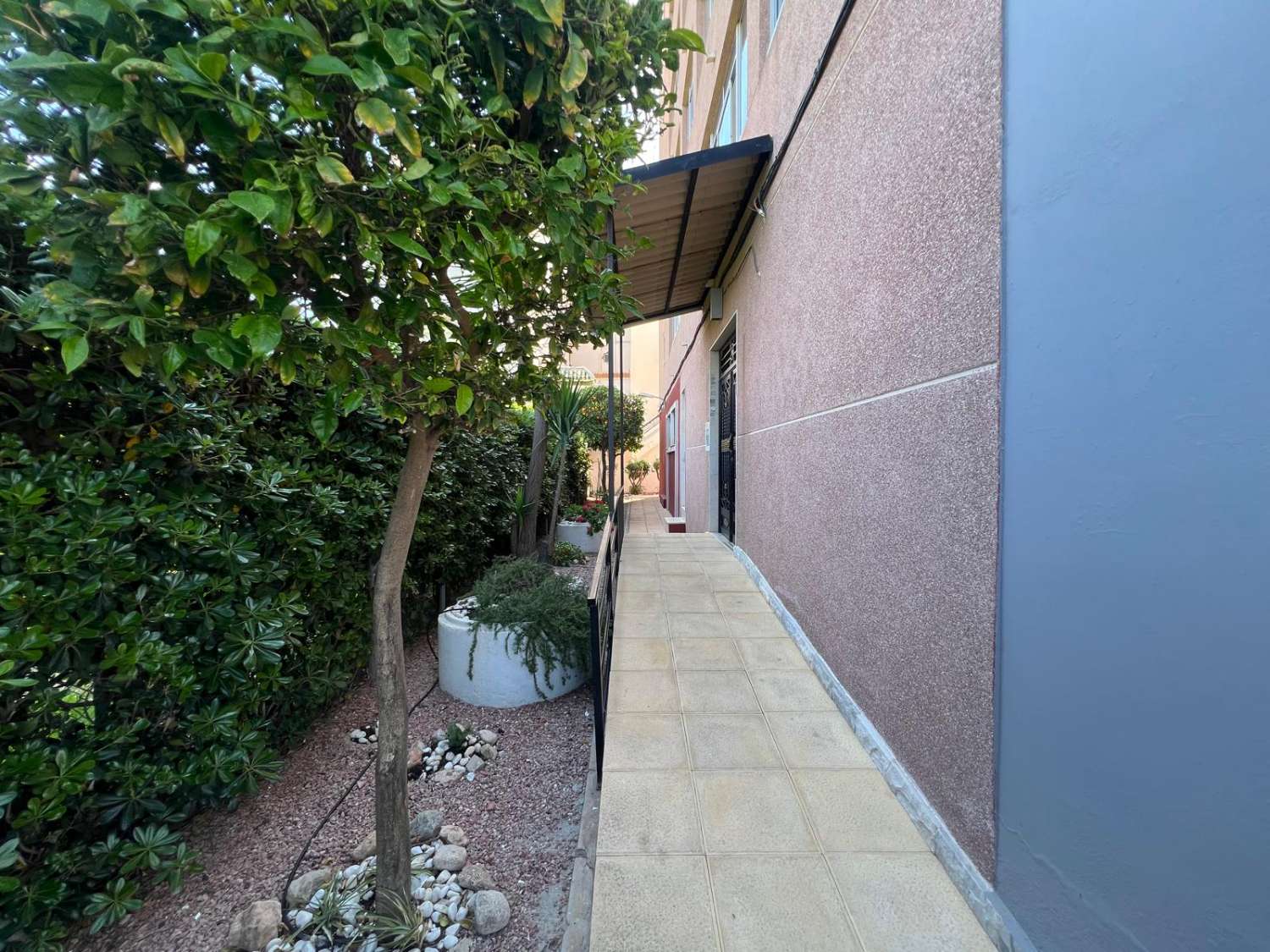 Apartamento en La Mata a 150m de la playa