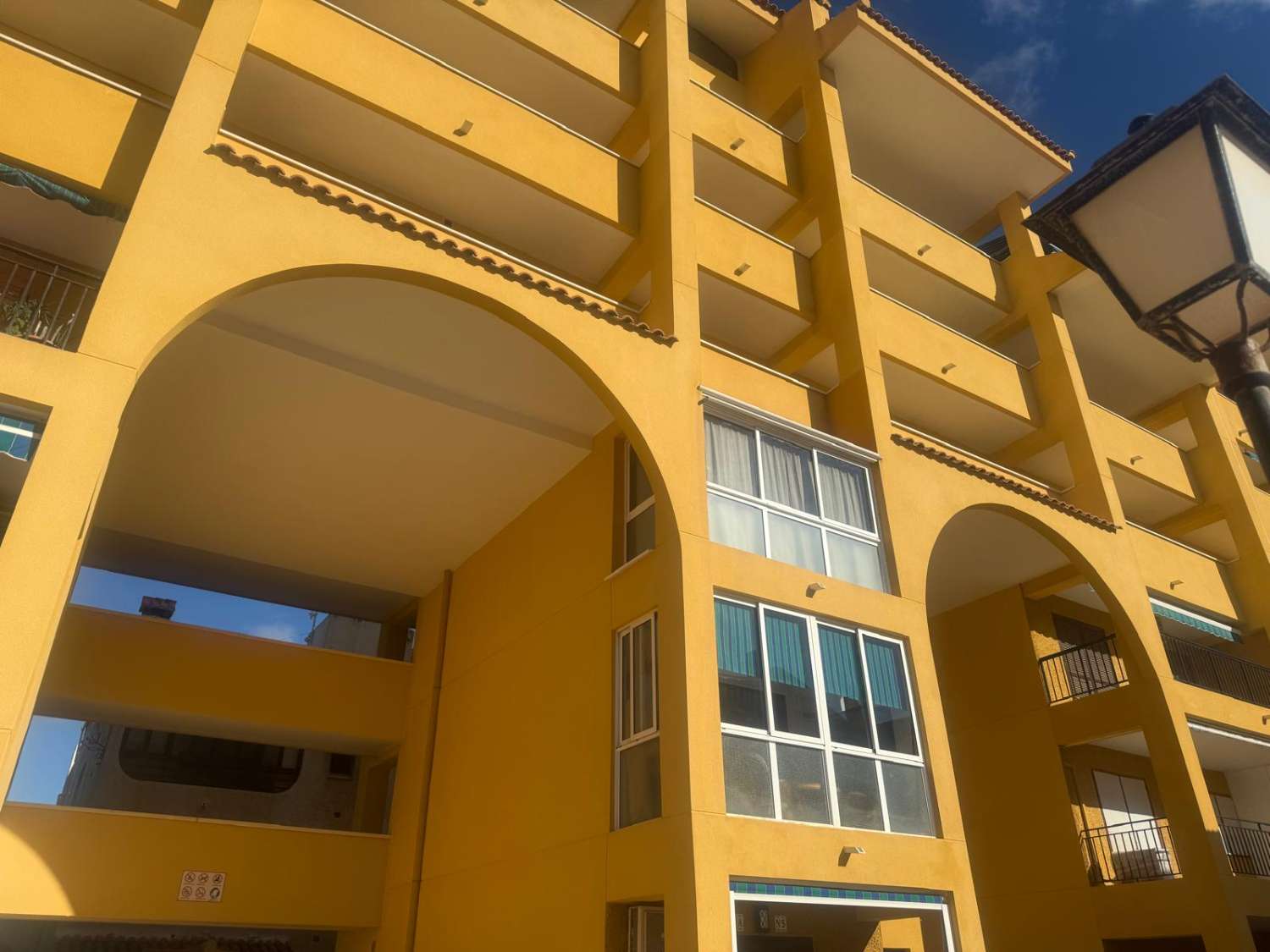 Estudio con piscina en La Mata, Viñamar I