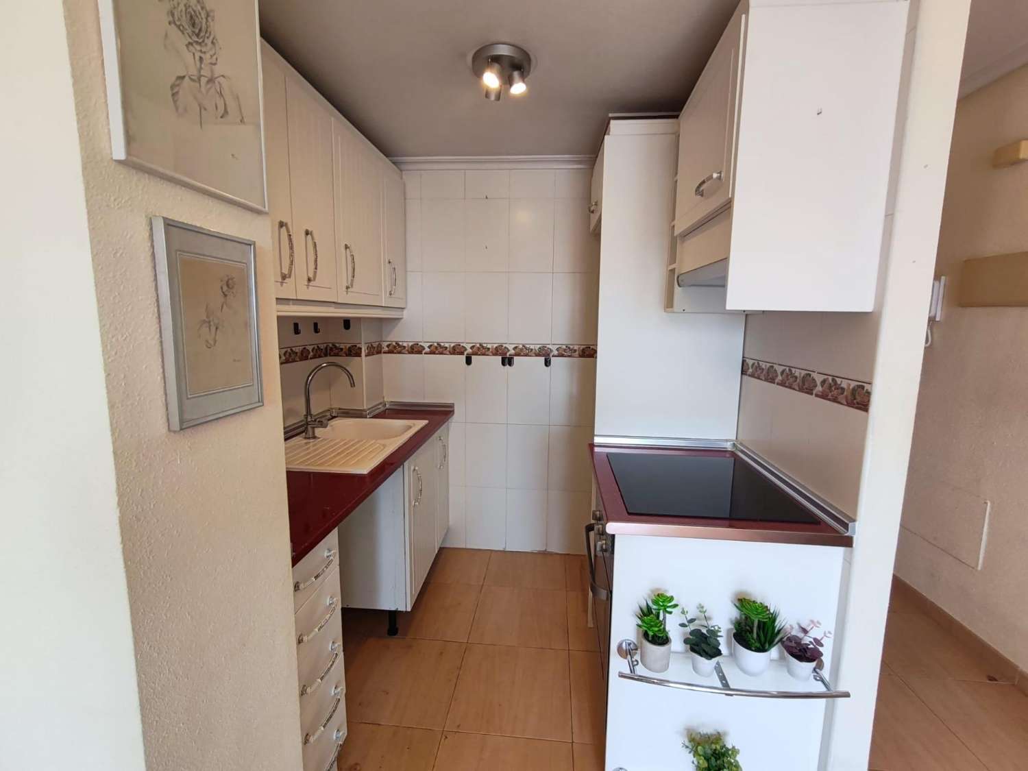 Penthouse op 175m van het strand van La Mata in Torrevieja