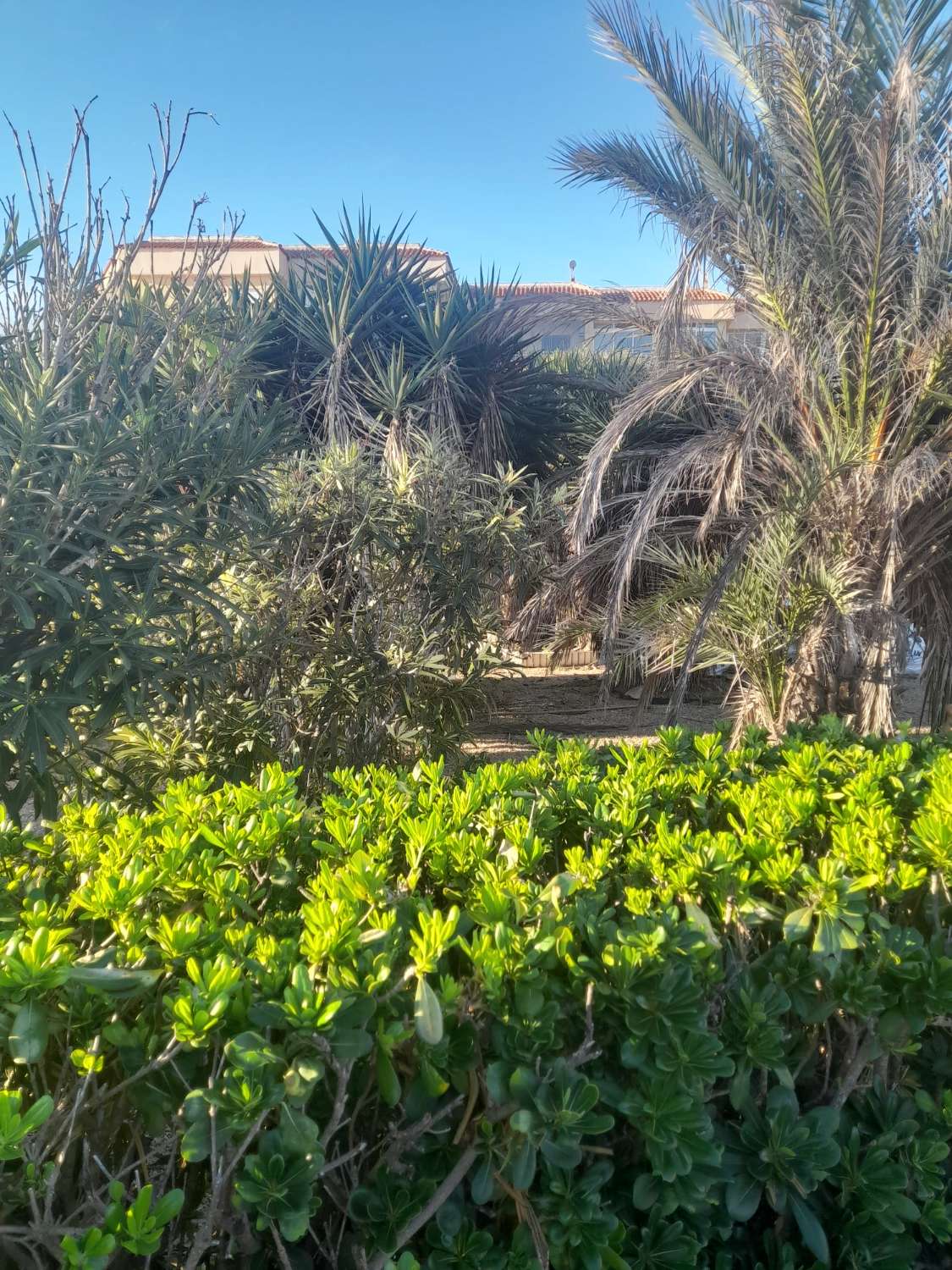 Fritliggende villa i Rocio delmar med panoramaudsigt over havet