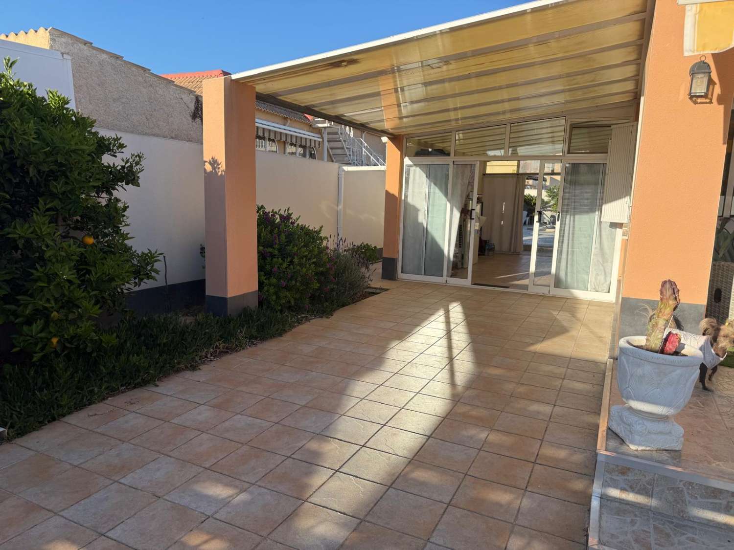 Doppelhaushälfte in der Urbanisation El Chaparral, Torrevieja