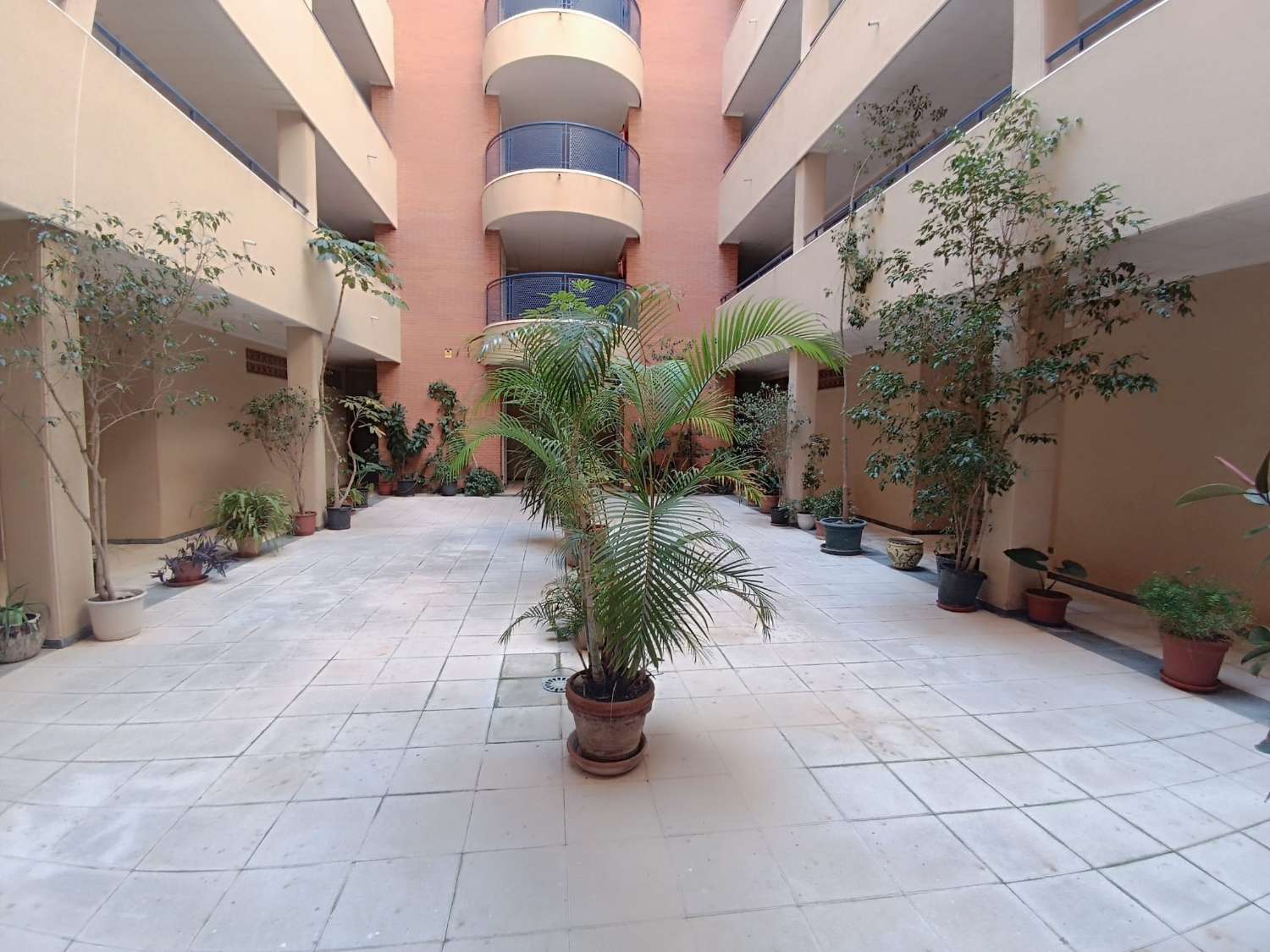 Apartamento con piscina a 200m de la playa del Acequion en Torrevieja