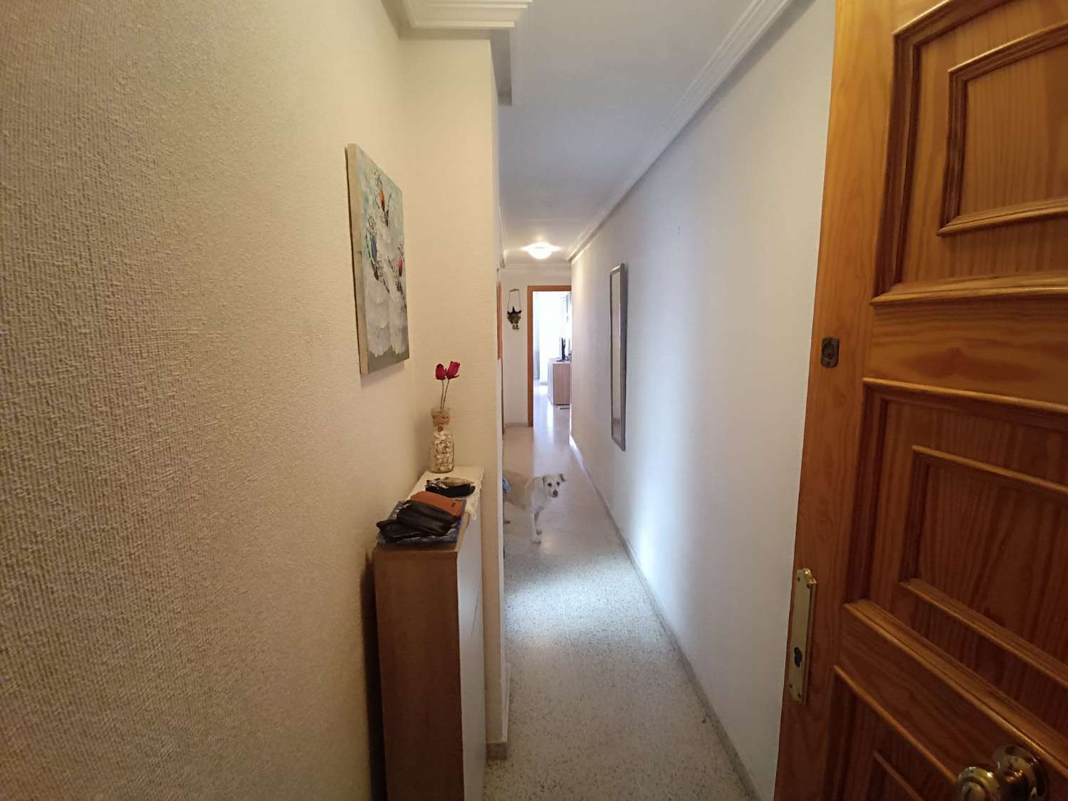 Apartamento con piscina a 200m de la playa del Acequion en Torrevieja