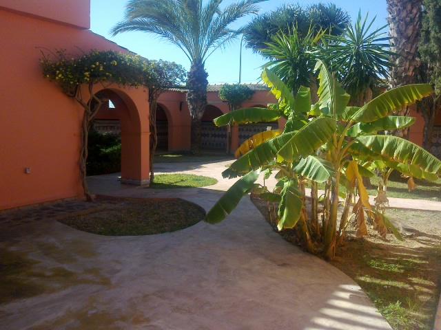Chalet en venta en La Siesta - El Salado - Torreta (Torrevieja)